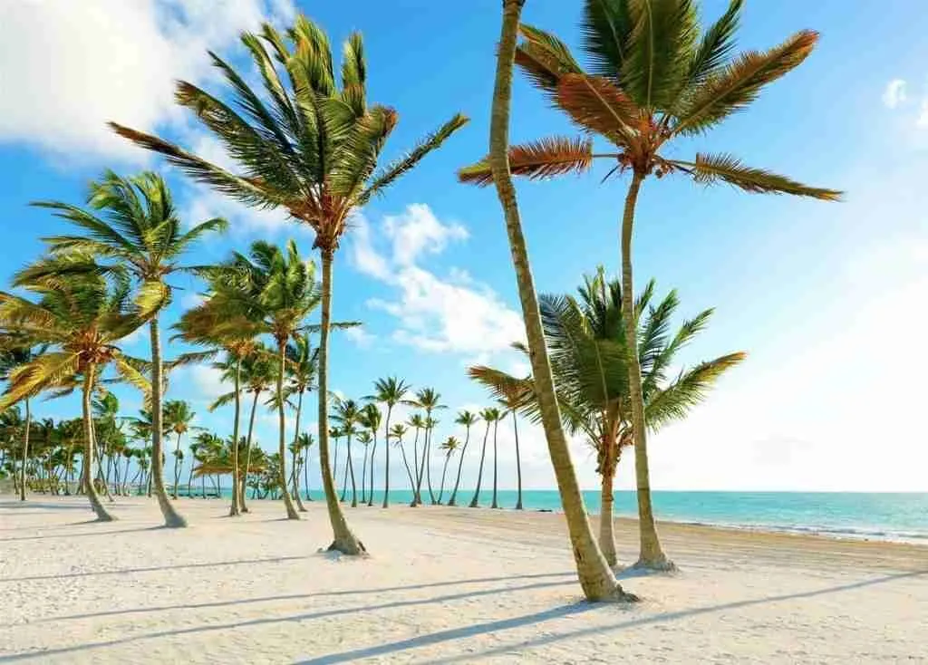 playa juanillo beach cap cana republica dominicana 1.jpeg