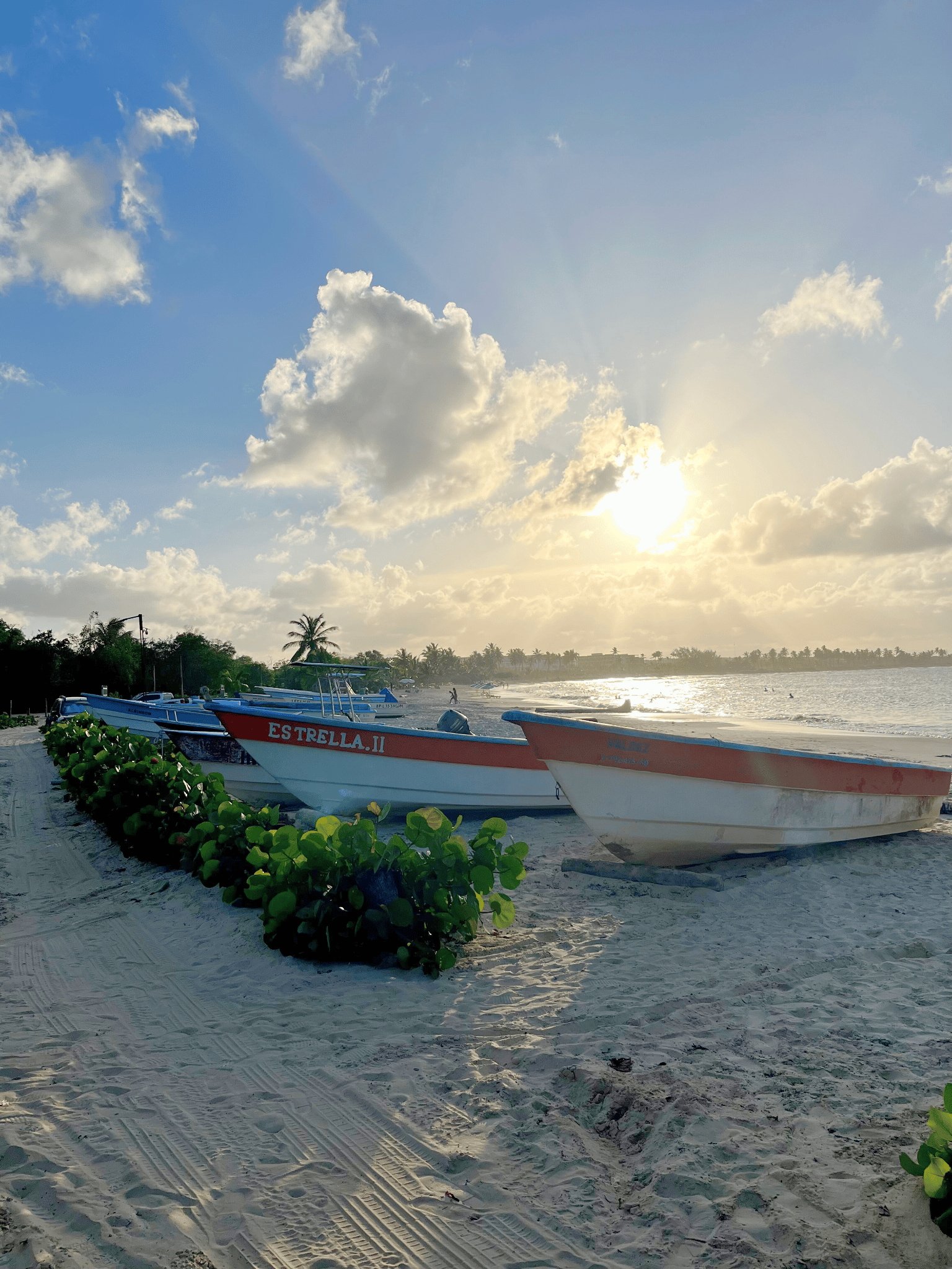 ¿Es Macao la mejor playa de Punta Cana? 23 Pescador en la playa de Macao Punta Cana