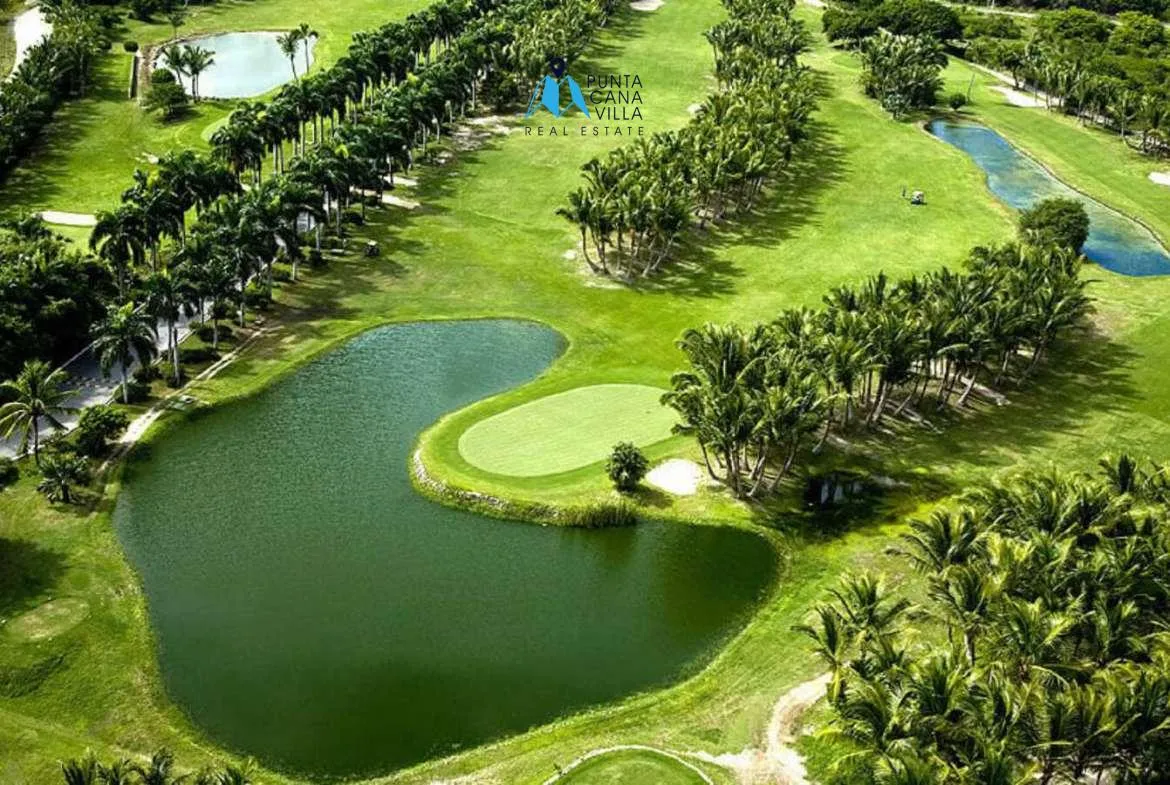 Splendid One Bedroom Condo For Sale In Punta Cana ()