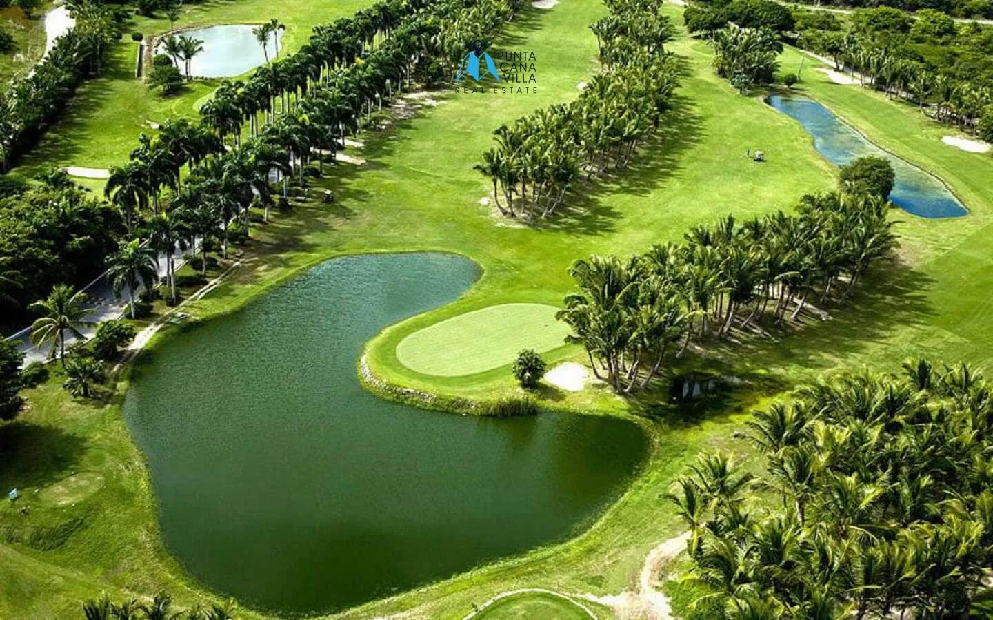 Splendid One Bedroom Condo For Sale In Punta Cana ()