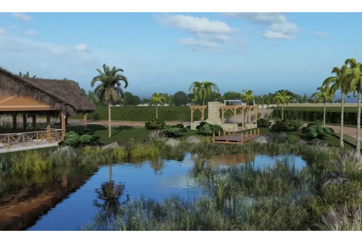 , Campo Grande, land for sale in Punta Cana for viila development ()