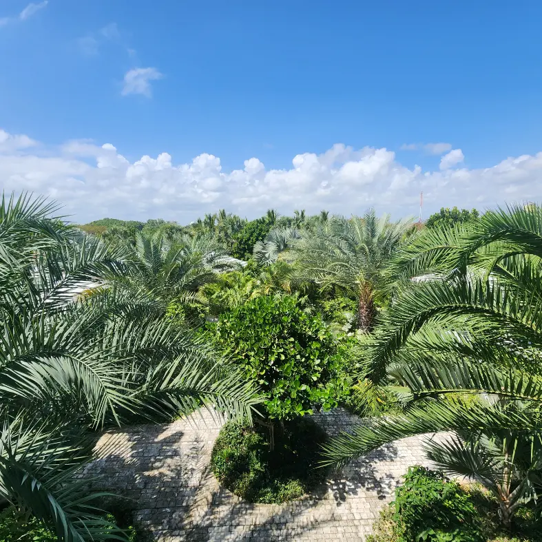 ID , Corales, Seven Bedroom House For Sale in Punta Cana Resort & Club, Dominican Republic ()
