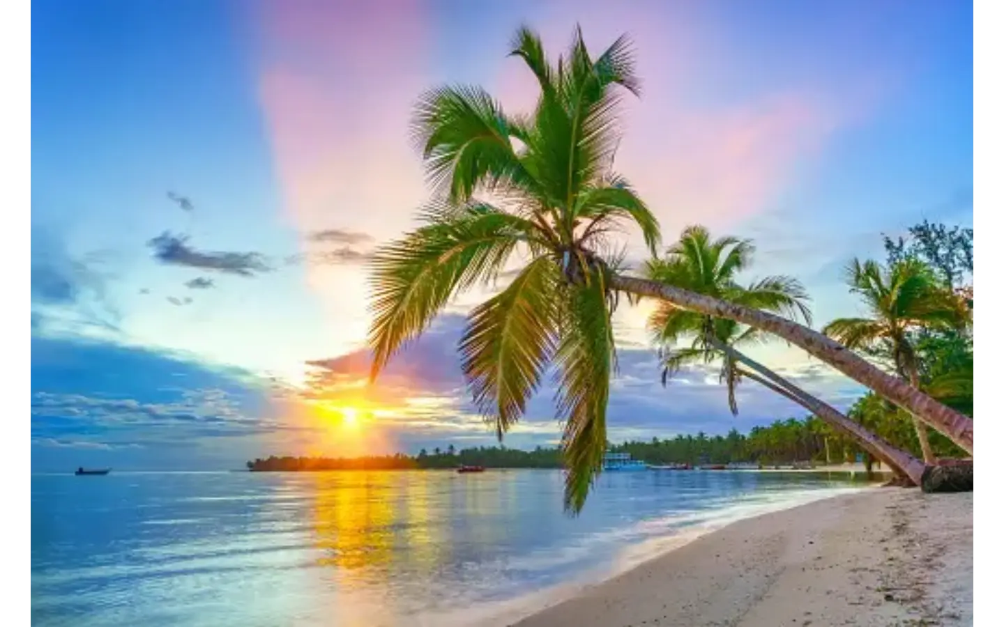 Punta cana beach Punta cana beach