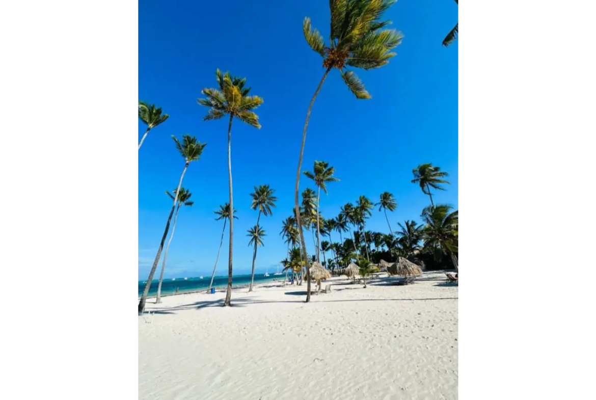 ID , Atlantic Palm Residences Three Bedroom Villa For Sale In White Sands, Punta Cana with Balcony ()