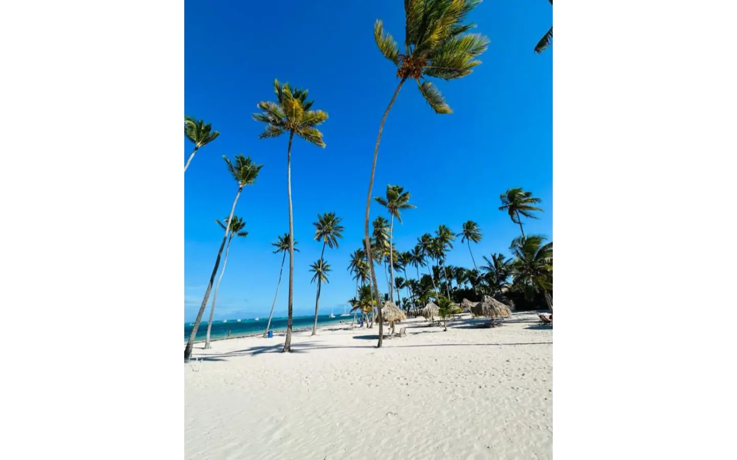 ID , Atlantic Palm Residences Three Bedroom Villa For Sale In White Sands, Punta Cana with Balcony () ID , Atlantic Palm Residences Three Bedroom Villa For Sale In White Sands, Punta Cana with Balcony ()
