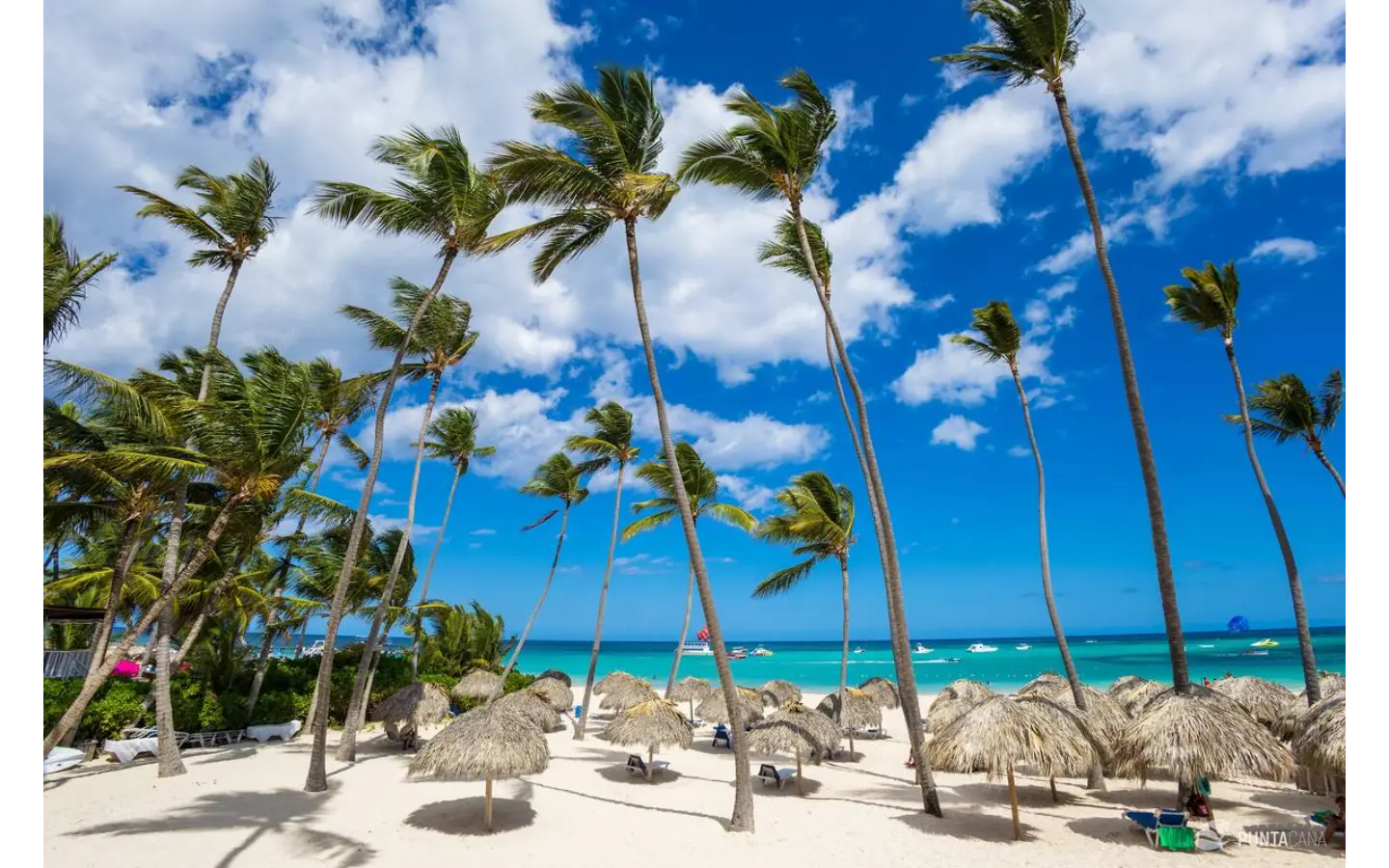 ID , Luxury Oceanfront Penthouse in Punta Cana with Exclusive Private Terrace () ID , Luxury Oceanfront Penthouse in Punta Cana with Exclusive Private Terrace ()