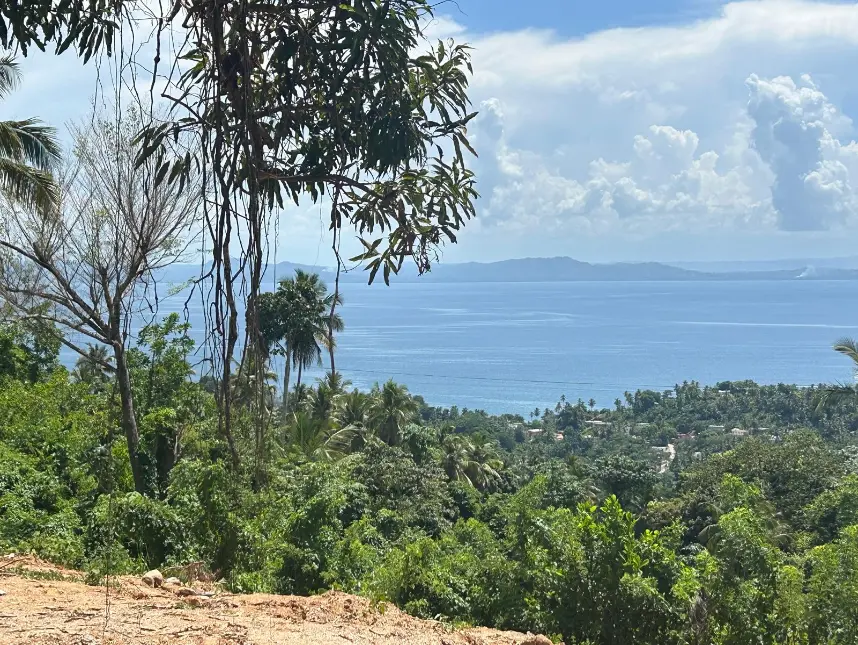 ID 4053 Colina del Paraíso Exclusive Ocean View Hillside Estates in Monte Rojo Samaná (8)