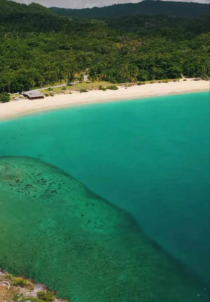 ID 4054 Cap El Limon Beachfront Lot for Sale in Samana Dominican Republic (3)